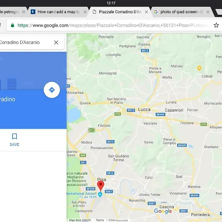 Canarino Petrognano (Lucca)
